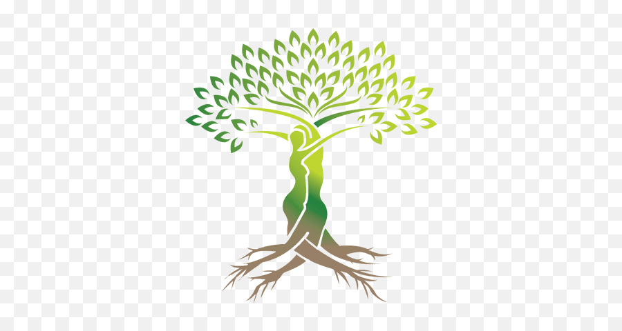Office Gynecology - Transparent Tree Of Life Png,Tree Of Life Png