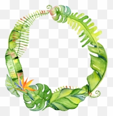 Hand Drawn Circle Png Transparent - Leaves Background