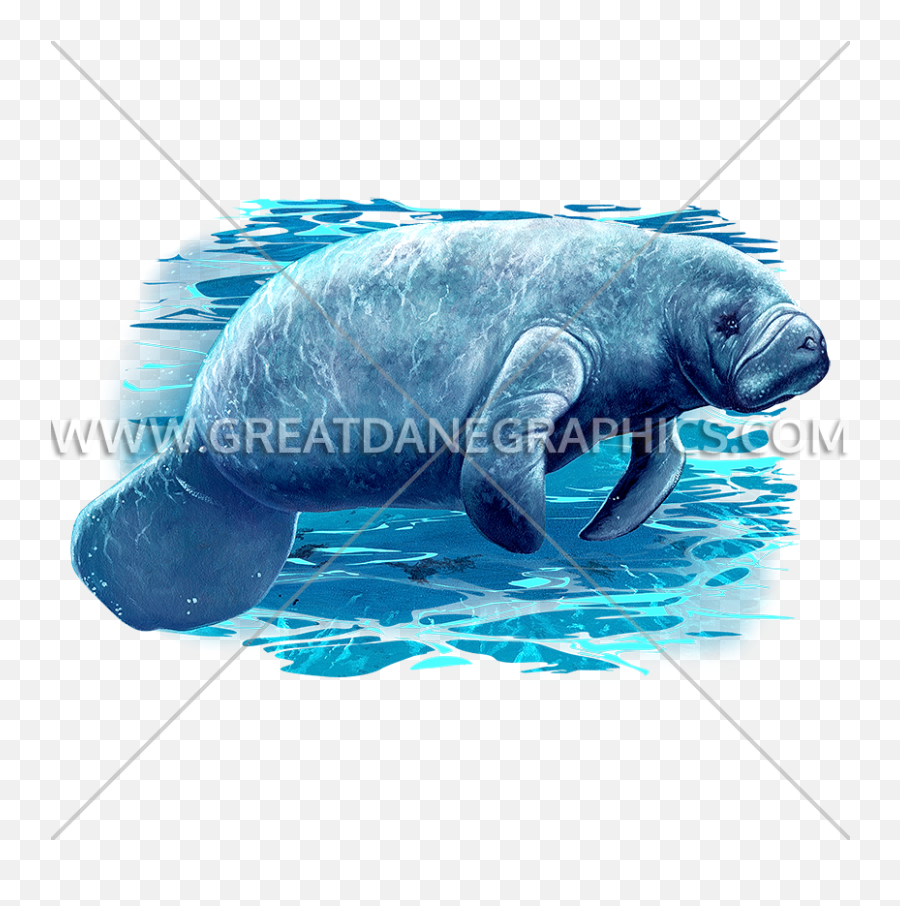 Manatee Production Ready Artwork For T - Shirt Printing Png,Manatee Png