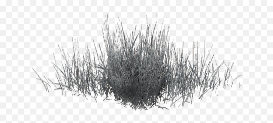 Black White Pattern - Winter Grass Png Download 1024768 Winter Grass Png,Grass Png Transparent