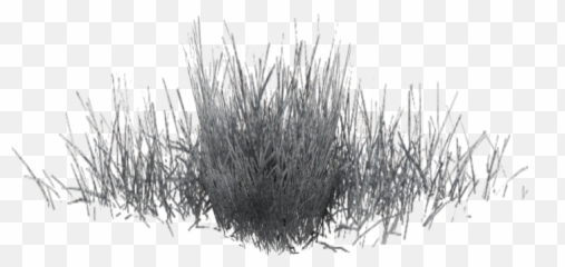Black White Pattern - Winter Grass Png Download 1024768 Winter Grass Png,Grass Png Transparent