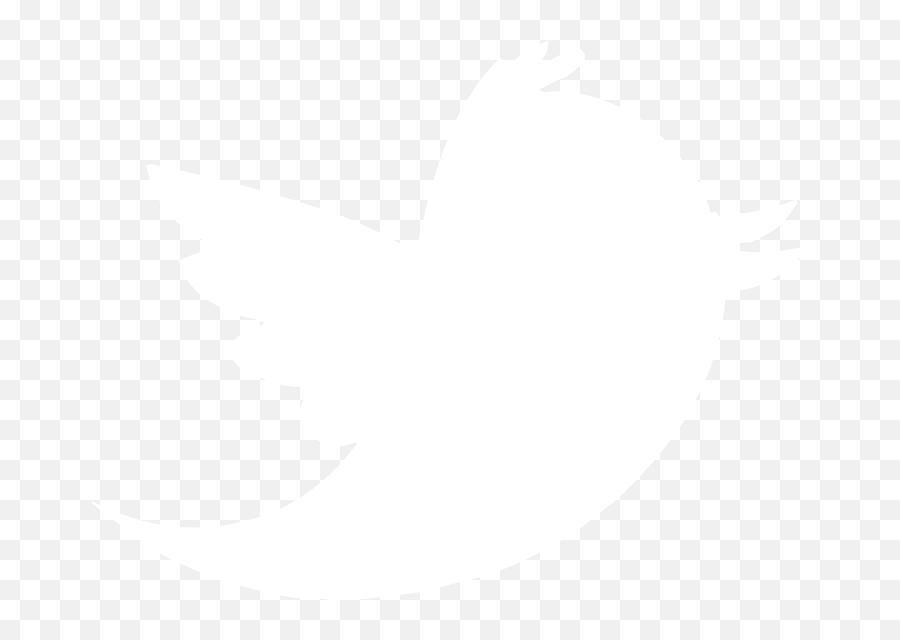 Twitter Icon Transparent Background - Twitter Black And White Png,Twitter Bird Transparent