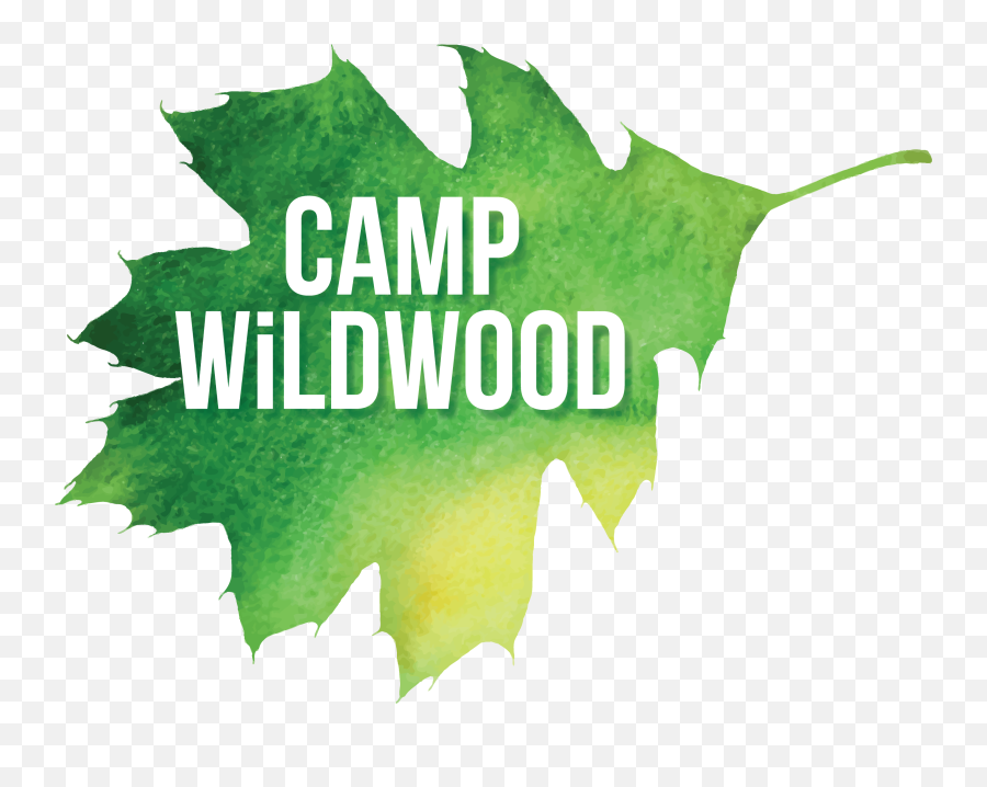 Summer Camp Logo - Wildwood Outdoor Education Center Graphic Design Png,Camp Logo