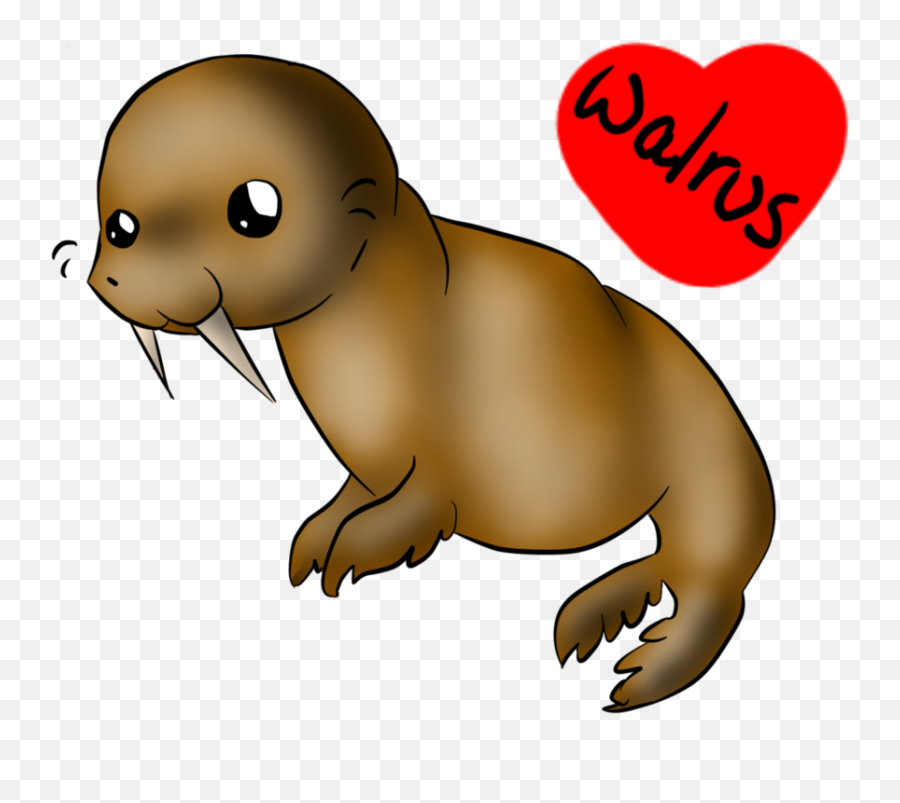 Chibi Walrus - Portable Network Graphics Png,Walrus Png