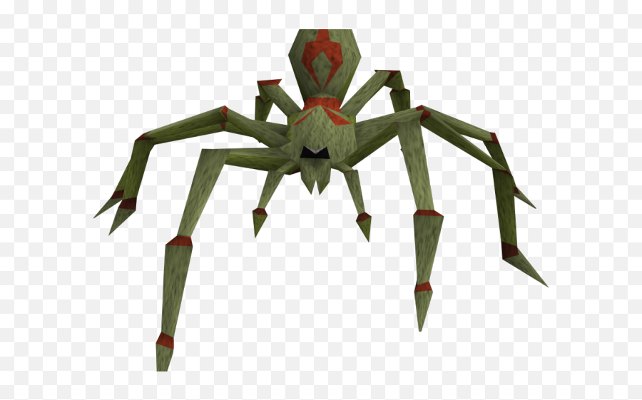 Tarantula Clipart Rainforest Insect - Spider Png,Tarantula Png