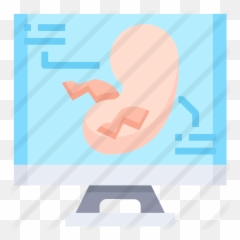 Embryo - Horizontal Png,Embryo Png