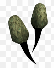 Spider Fangs - Potion png