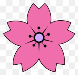 Sakura Flower Drawing Free Image - Vektor Bunga png
