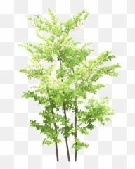 Blue Flower Tree Png Transparent - Portable Network Graphics