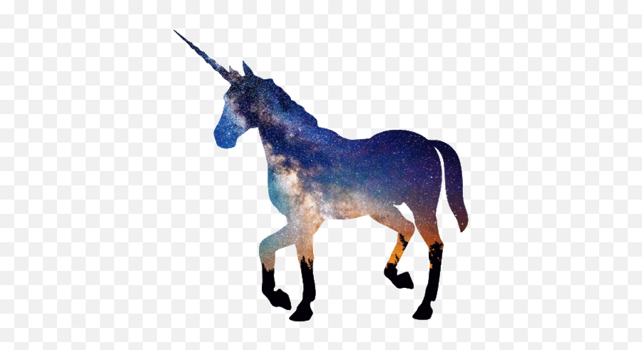 Unicorn Png Transparent Image - Black Unicorn Png,Transparent Unicorn