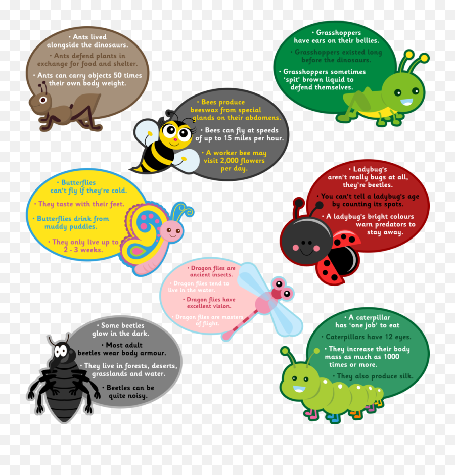 Schoolsigns4u - Educational Insect Boards Cartoon Png,Bugs Png