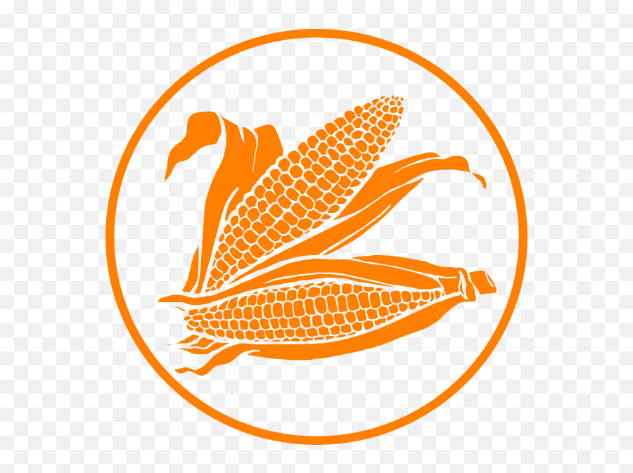 Corn Thanksgivingrn Clipart Rn Vegetable Clip Art 3 - Corn Vector For Free Png,Vegetable Icon Vector