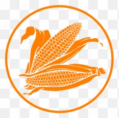 Corn Thanksgivingrn Clipart Vegetable 3 - Vector For Free Png