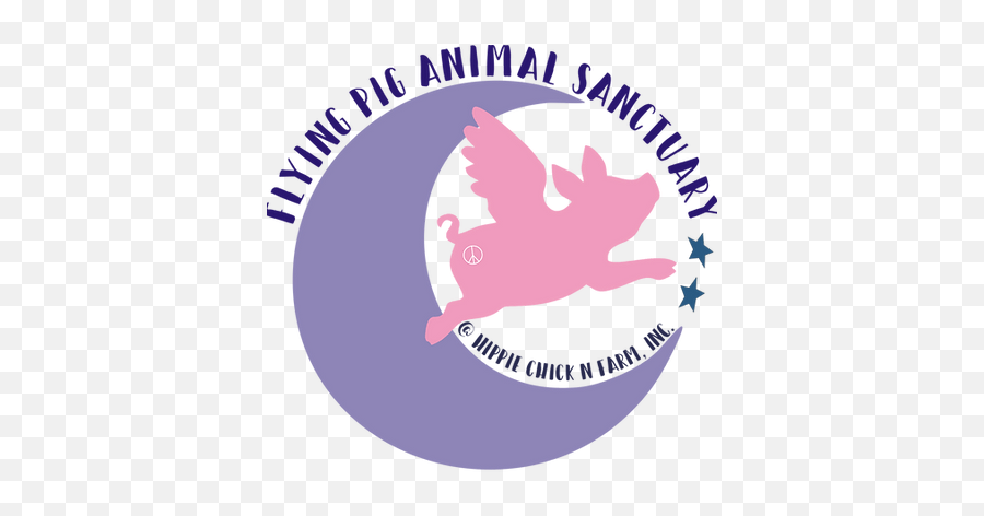 Meet Us Flying Pig Animal Sanctuary South Georgia Farm - Language Png,Flying Pig Icon