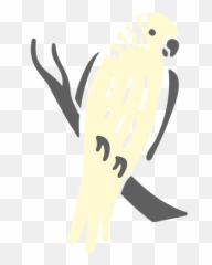 Parrot Animal Doodle Design Transparent Png U0026 Svg Vector - Falconiformes