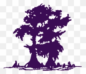 Message From The Executive Director Imperial Calcasieu - Sketch png