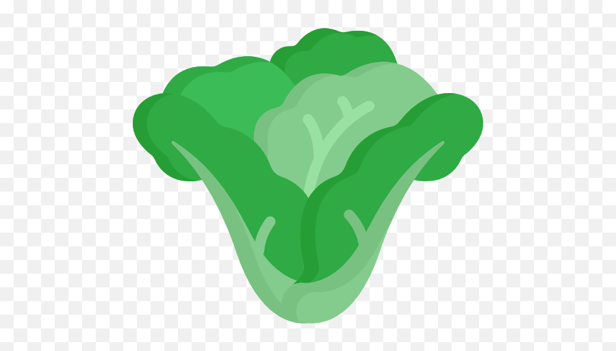 Lettuce - Free Food Icons Lechuga Icono Png,Lettuce Icon