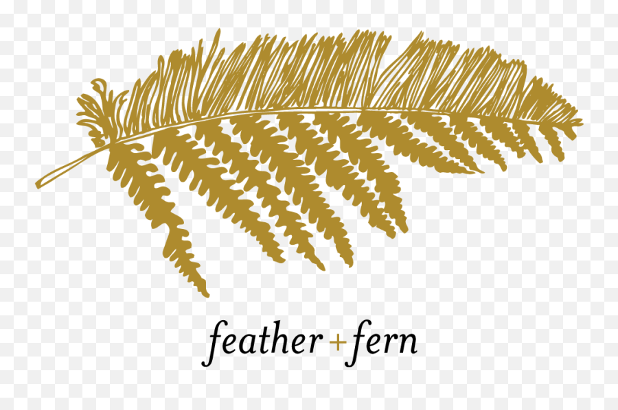 Layout U2014 Feather U0026 Fern Design - Language Png,Fern Icon
