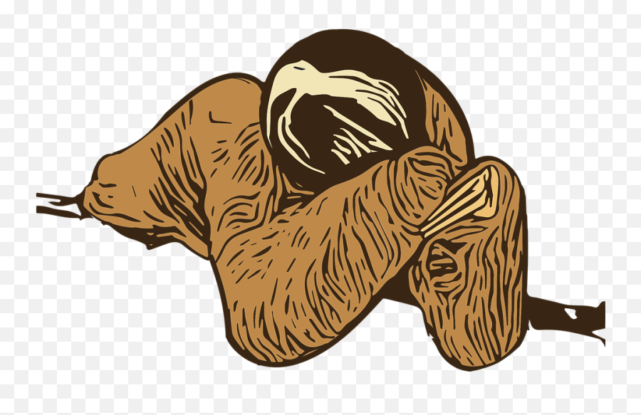 Graphic Sloth Wild - Free Vector Graphic On Pixabay Naked Png,Sloth Png