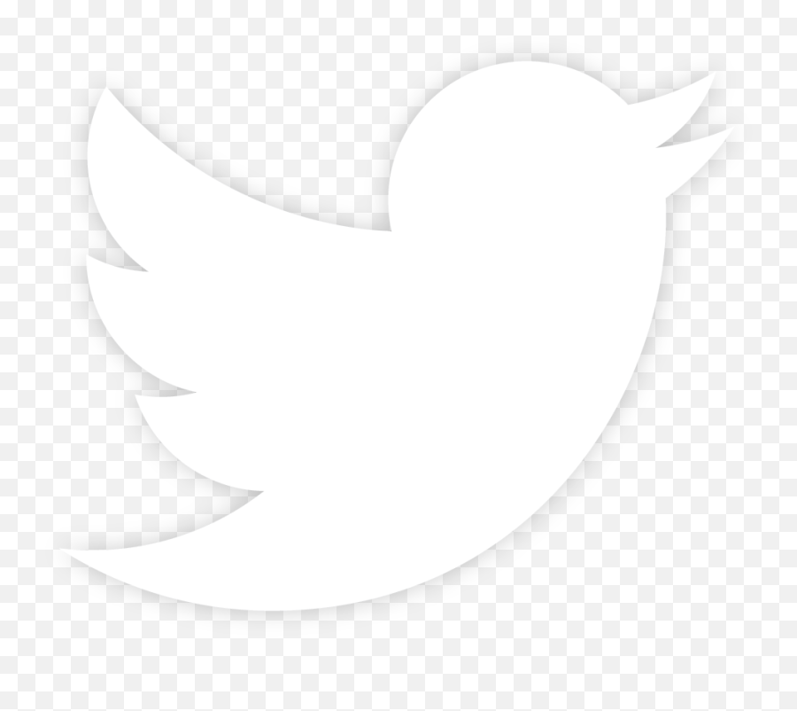 Twitter Logo Png Transparent Background - Transparent Background Twitter Logo White,Twitter Logo Vector