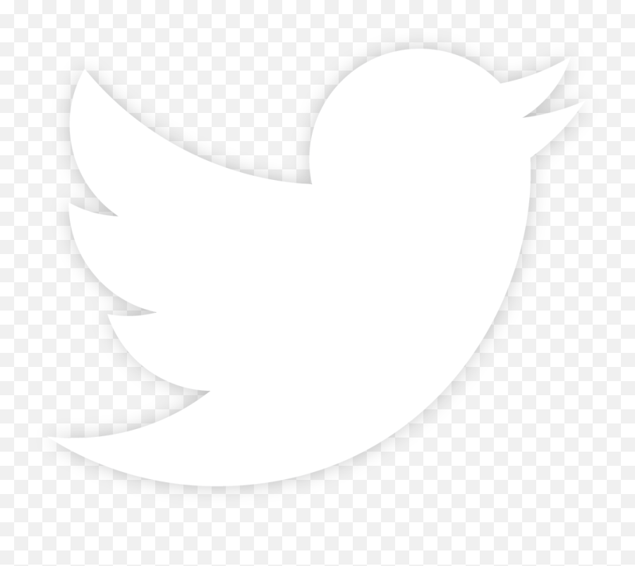 white twitter logo png