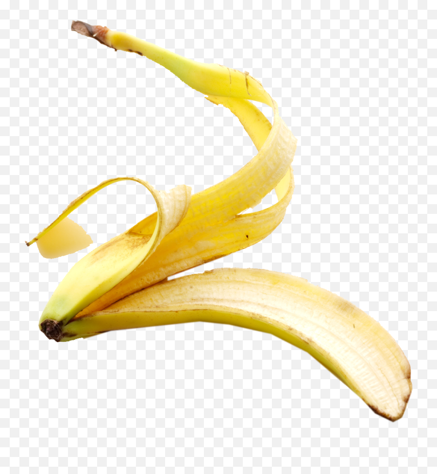 Banana Peel Png Clipart Images Gallery F 855038 - Png Transparent Background Banana Peel Png,Banana Clipart Png