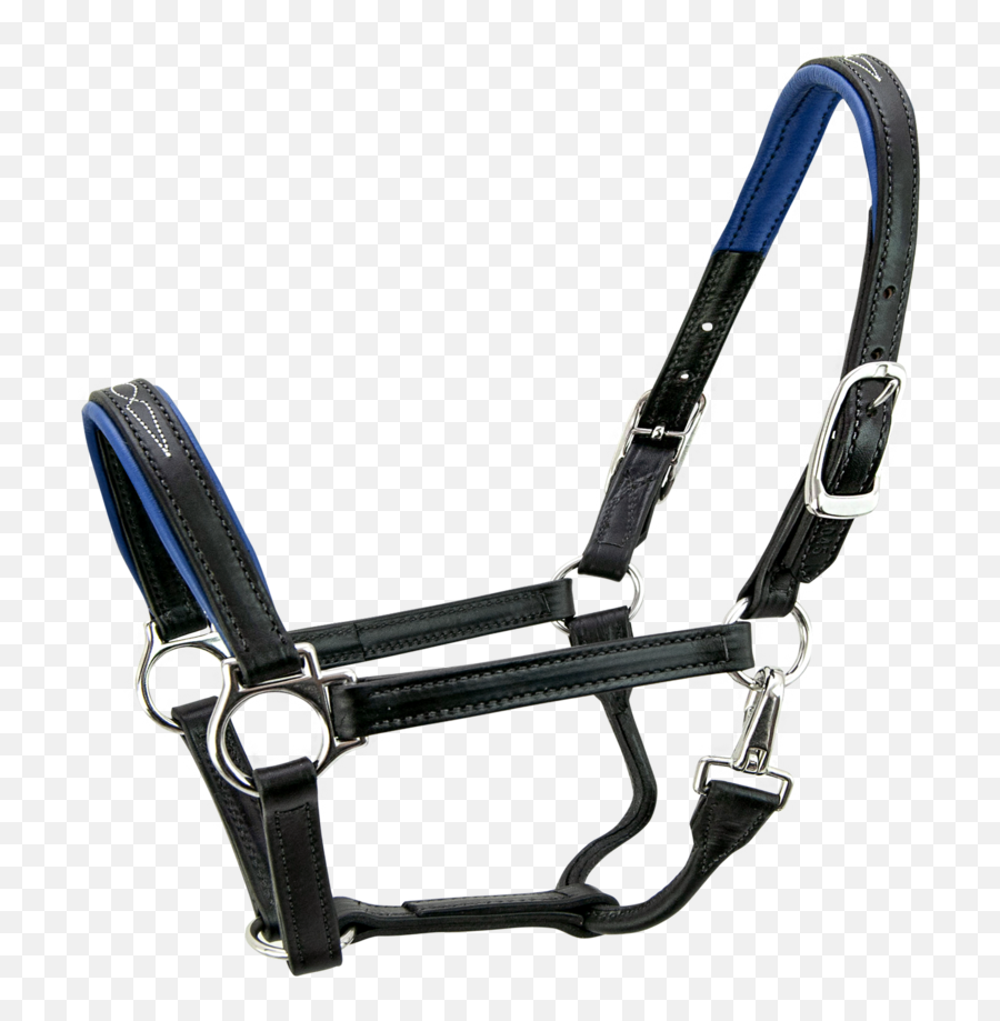 Signature Halter - Horse S5000 Chair Png,Tack Png