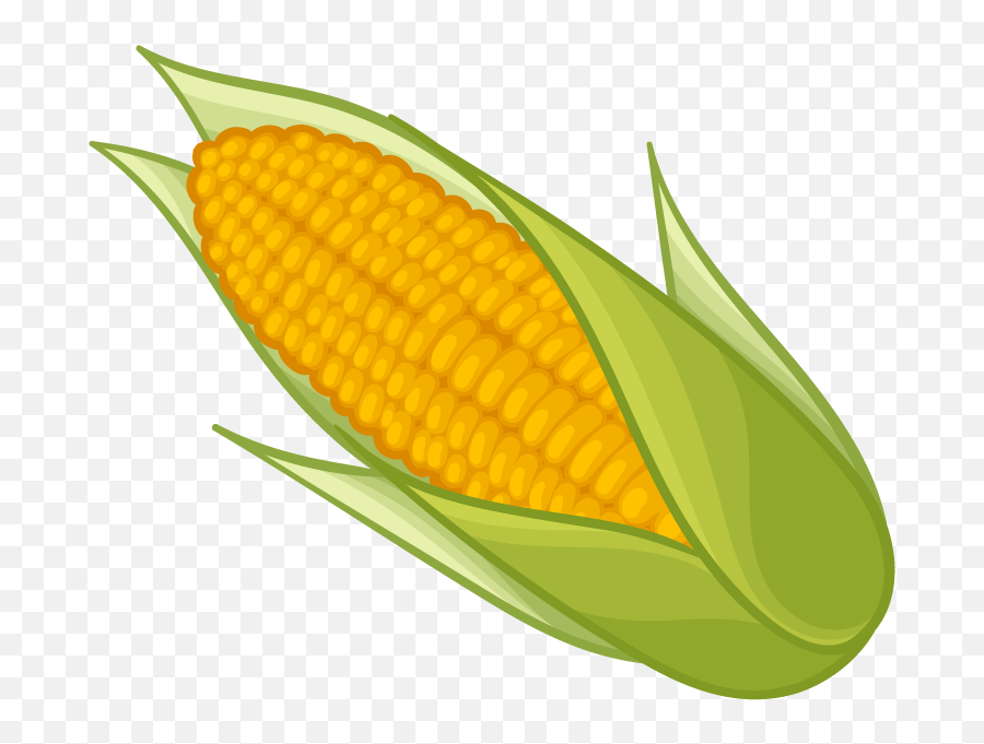 Download Corn Png Clipart - Corn On The Cob Clipart,Corn Cob Png