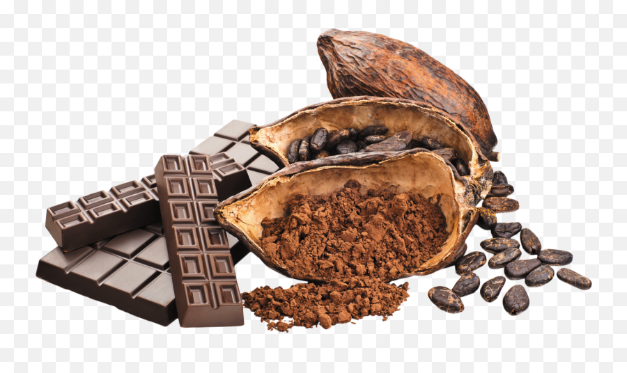Download Cacao Png Image For Free - Chocolate And Cocoa Beans,Cocoa Png