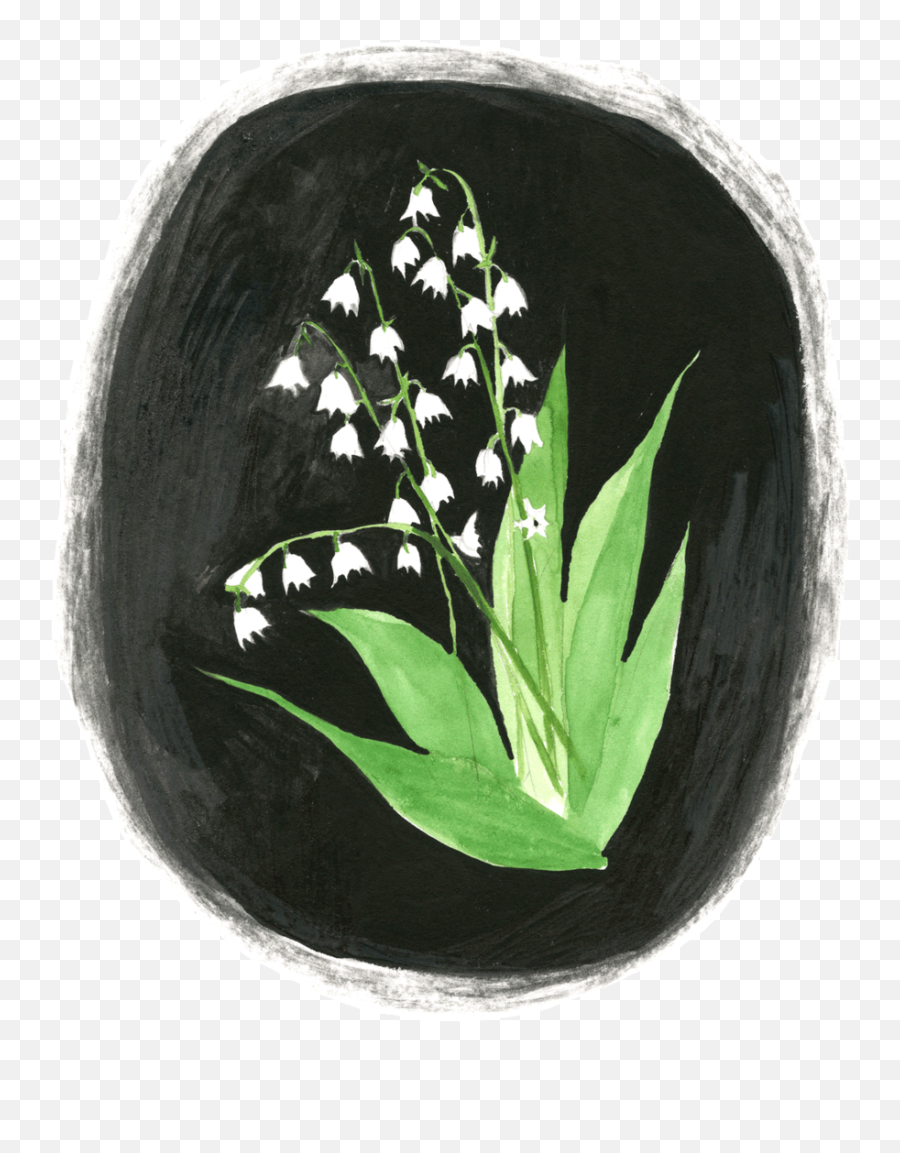 Lily Transparent Illustration Picture 2497026 - Grid Leaf Aesthetic Illust Png,Lily Of The Valley Png