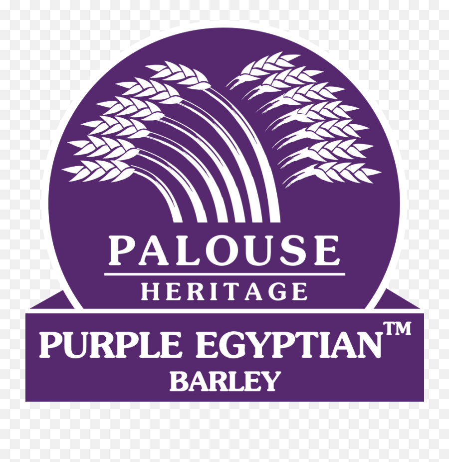 Purple Egyptian U2014 Palouse Heritage - Purple Egyptian Png,Barley Png