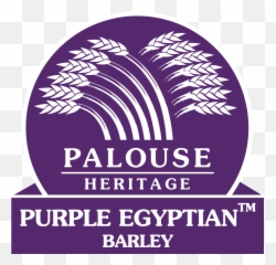 Purple Egyptian U2014 Palouse Heritage - Purple Egyptian Png,Barley Png