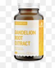 Dandelion Root Extract - Curcumin Piperine png