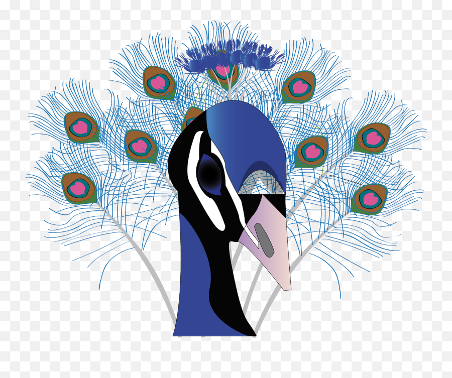 Bird Peacock Feather - Free Vector Graphic On Pixabay Pride 7 Deadly Sins Animals Png,Peacock Feather Png