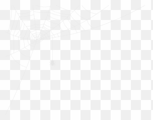 Halloween View All Women Wwwlittlewoodscom - Spider Web png