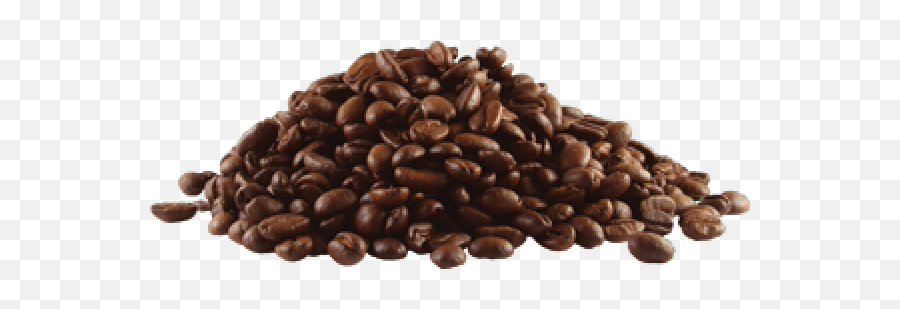 Coffee Beans Png Free Download 9 Images - Java Coffee,Coffee Bean Png