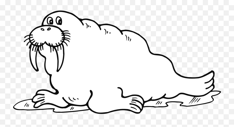 Download Hd Walrus Png Transparent - Walrus Clipart Black And White,Walrus Png