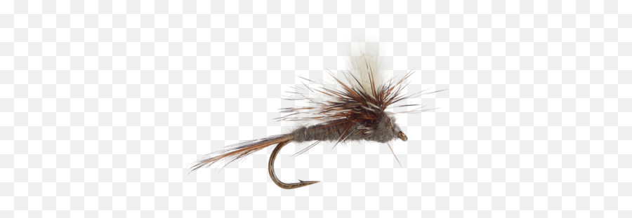 Dry Fly Pattern Adams Parachute - Adams Png,Fly Transparent