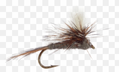 Dry Fly Pattern Adams Parachute - png