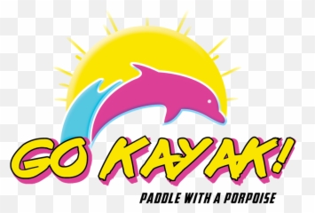 Kayaking Dolphin Tours Watching Virginia Beach - Common Bottlenose Dolphin Png,Dolphins Png