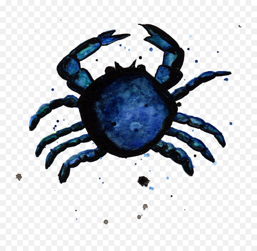 Download Blue Crab By Chrystal Elizabeth - Water Png Image Cancer,Blue Crab Png