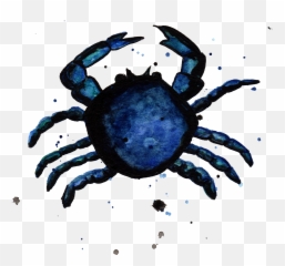 Download Blue Crab By Chrystal Elizabeth - Water Png Image Cancer,Blue Crab Png