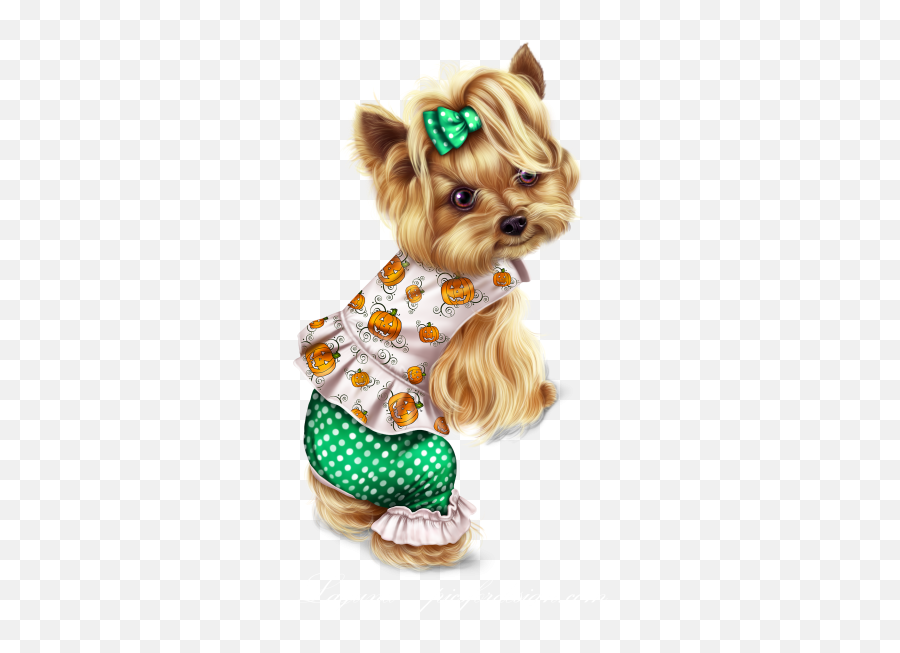 Download Little Pumpkin Yorkie - Yorkshire Terrier Png Image Yorkshire Terrier,Yorkie Png