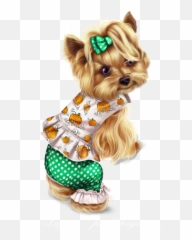 Download Little Pumpkin Yorkie - Yorkshire Terrier Png Image Yorkshire Terrier,Yorkie Png