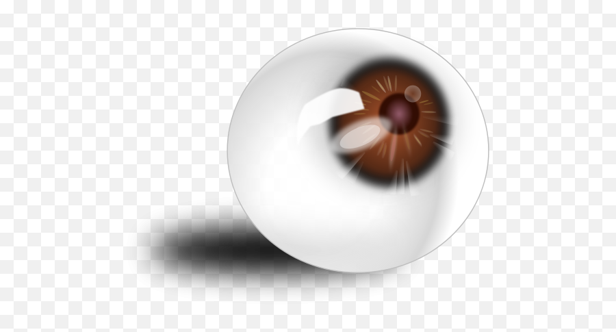 Download Eyeball Brown Png Images - Eye Full Size Png Eye Globe Png,Eyeball Transparent Background