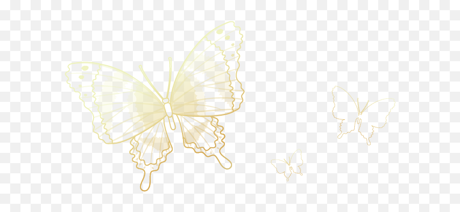 Gold Butterflies Fading Transparent Icon Overlay Freeto - Swallowtail Butterfly Png,Butterflies Transparent
