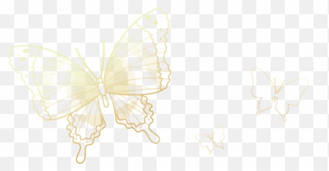 Gold Butterflies Fading Transparent Icon Overlay Freeto - Swallowtail Butterfly Png,Butterflies Transparent