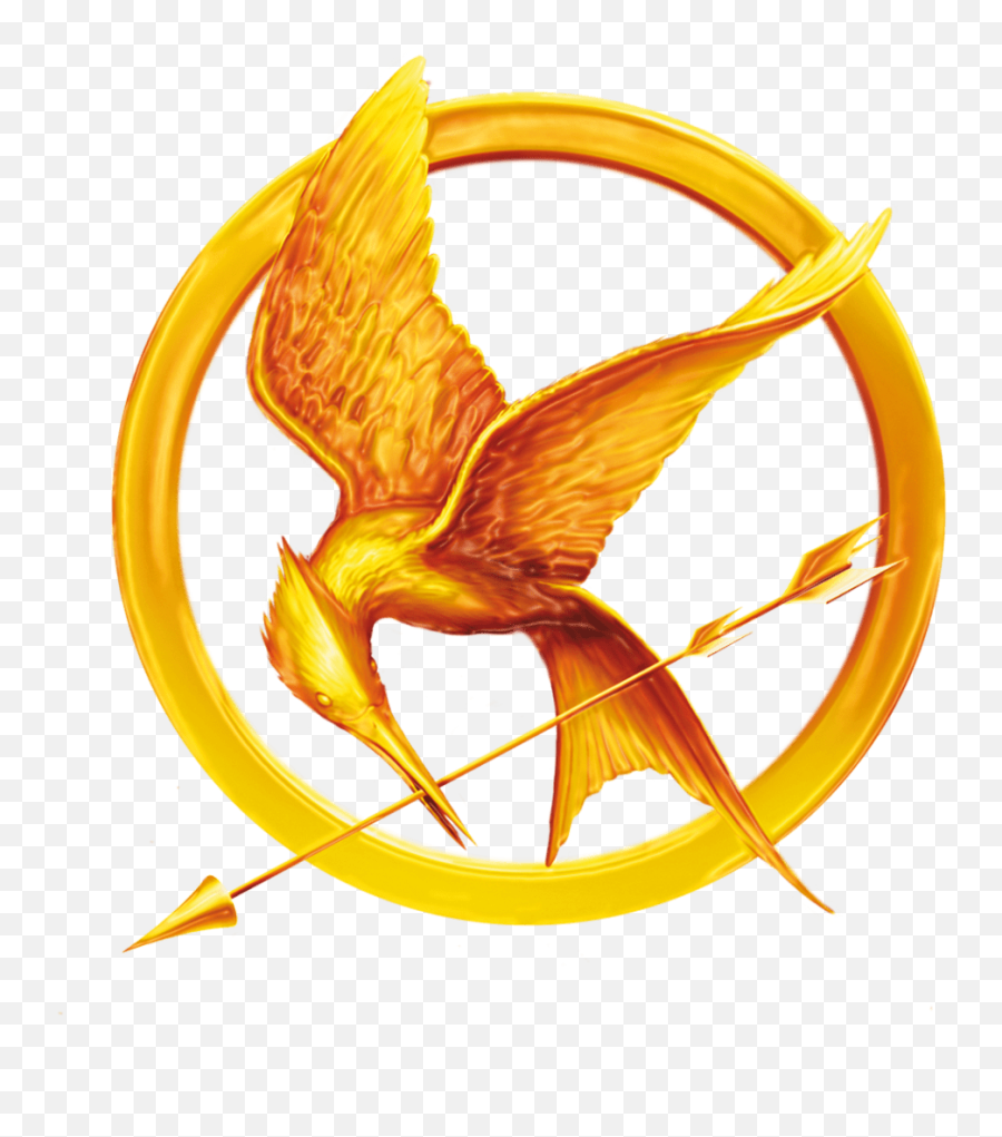 Should Read The Hunger Games Books - Hunger Games Book Special Edition ...