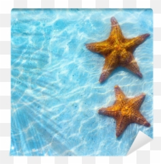 Abstract Blue Sea Tropical Background - Mat Png,Blue Starfish Logo