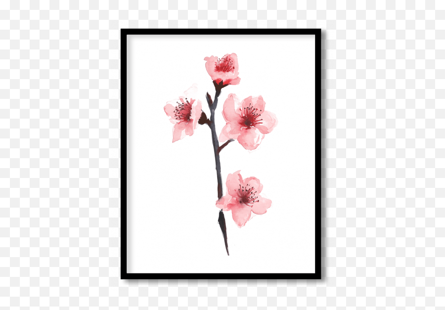 Cherry Blossoms Posters Paintings Framed Wall Art - Twig Png,Cherry Blossom Flower Png